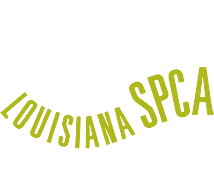 LSPCA